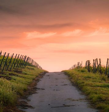 Våren er på vei og MC sesongen er snart en realitet!
